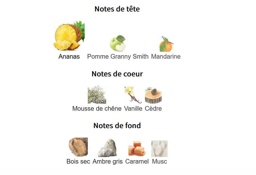 Échantillon reconditionné Little Big Perfume - Afnan 9pm Rebel