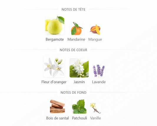 Ard Al Zaafaran Ghality - Échantillon de Parfum 5ml/2ml - Format de Voyage - Parfum du Moyen-Orient