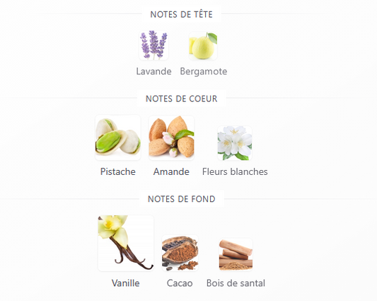 Échantillon reconditionné Little Big Perfume - Ard Al Zaafaran Manaal