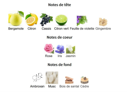 Armaf Club de Nuit Sillage - Échantillon de Parfum 5ml/2ml - Format de Voyage - Parfum du Moyen-Orient