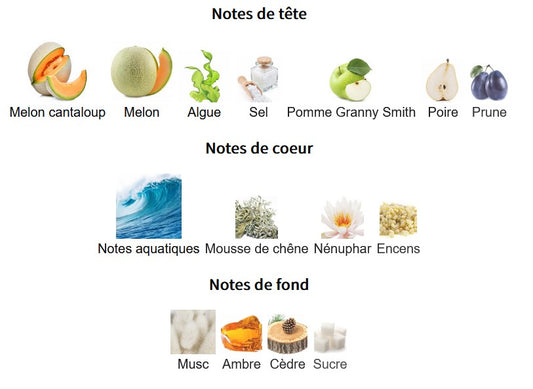 Armaf Odyssey BA HA MAS - Échantillon de Parfum 5ml/2ml - Format de Voyage - Parfum du Moyen-Orient