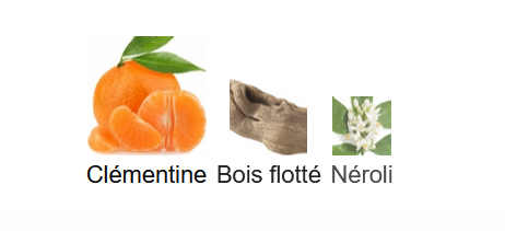 Bath & Body Works Calypso Clementine - Perfume Sample 5ml/2ml - Affordable Travel Size