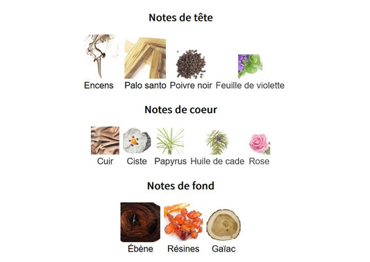 Fragrance World Ebony Fume - Échantillon de Parfum 5ml/2ml - Format de Voyage - Parfum du Moyen-Orient