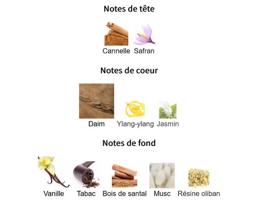 Fragrance World Notes Jazz - Échantillon de Parfum 5ml/2ml - Format de Voyage - Parfum du Moyen-Orient
