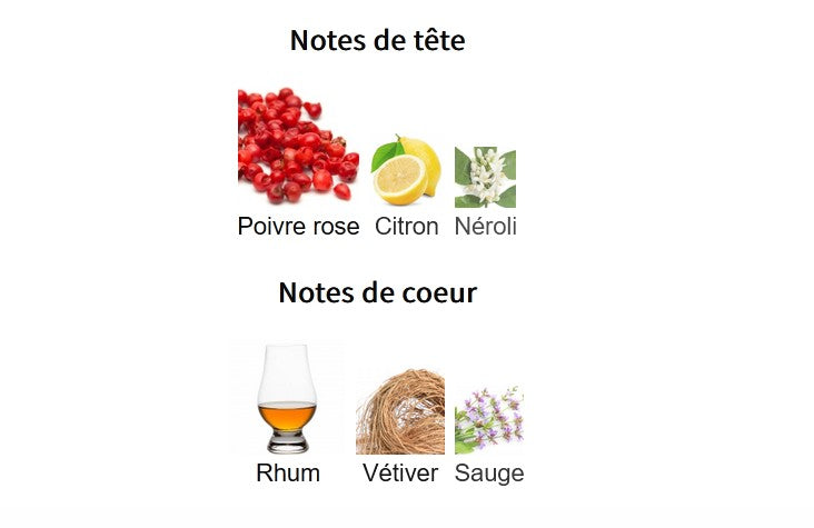 Fragrance World Olfactory Music Fest - Échantillon de Parfum 5ml/2ml - Format de Voyage - Parfum du Moyen-Orient