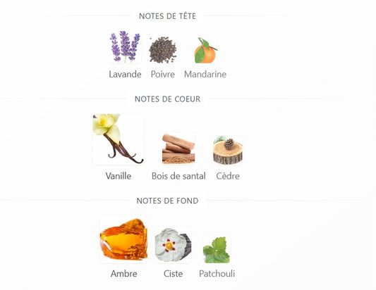 Fragrance World Soir - Échantillon de Parfum 5ml/2ml - Format de Voyage - Parfum du Moyen-Orient