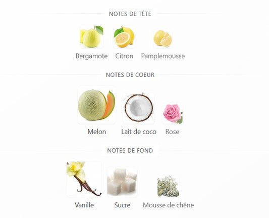 Khadlaj Biscotti Melon Misk - Échantillon de Parfum 5ml/2ml - Format de Voyage - Parfum du Moyen-Orient