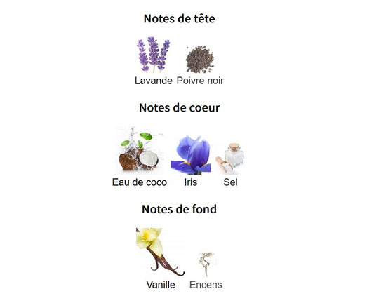 Lattafa Asad Zanzibar - Échantillon de Parfum 5ml/2ml - Format de Voyage - Parfum du Moyen-Orient