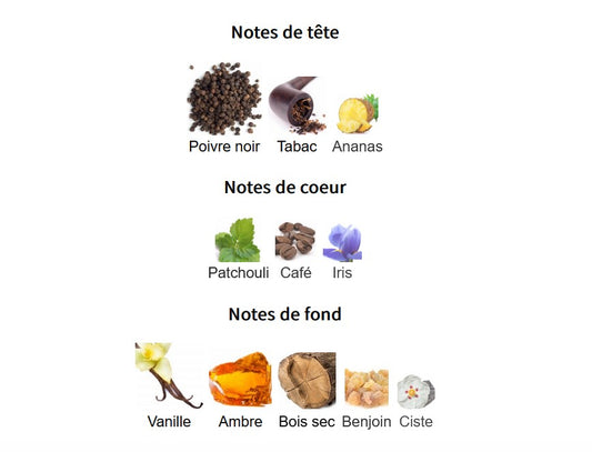 Lattafa Asad - Échantillon de Parfum 5ml/2ml - Format de Voyage - Parfum du Moyen-Orient
