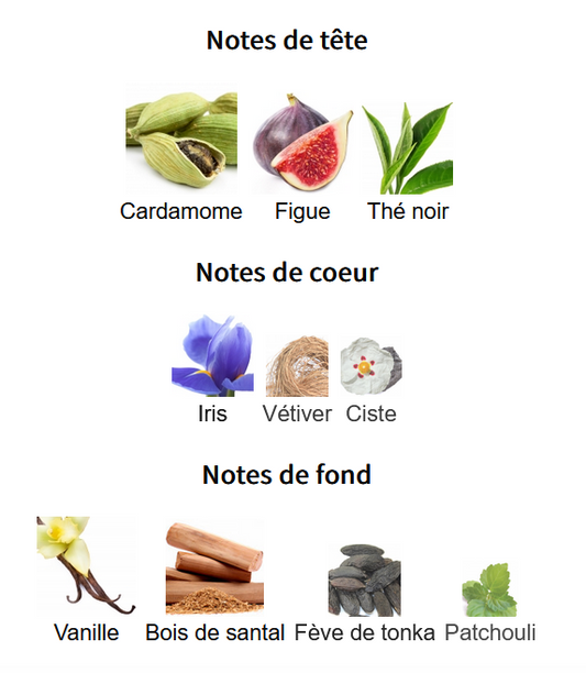 Lattafa Liam - Échantillon de Parfum Arabe 5ml/2ml - Format de Voyage