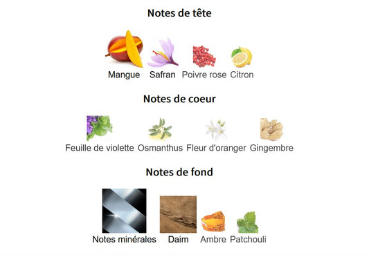 Lattafa Masa - Échantillon de Parfum 5ml/2ml - Format de Voyage - Parfum du Moyen-Orient