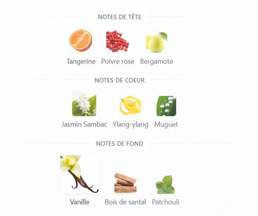 Maison Alhambra Athena - Échantillon de Parfum 5ml/2ml - Format de Voyage - Parfum du Moyen-Orient