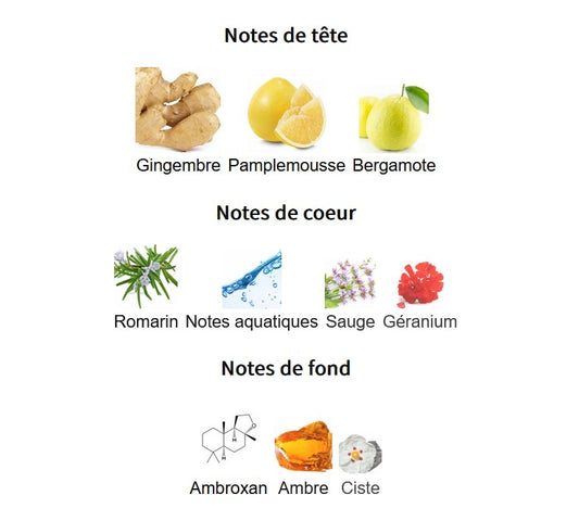 Maison Alhambra Jean Lowe Immortal - Échantillon de Parfum 5ml/2ml - Format de Voyage - Parfum du Moyen-Orient