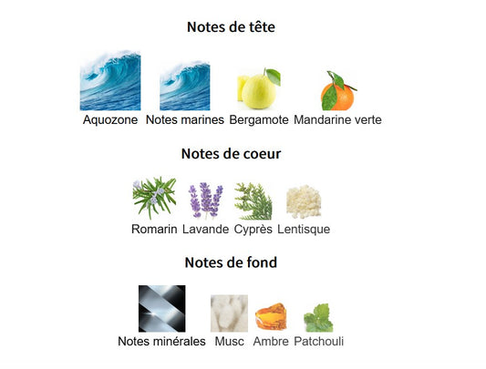 Maison Alhambra Jorge Di Profumo - Échantillon de Parfum 5ml/2ml - Format de Voyage - Parfum du Moyen-Orient