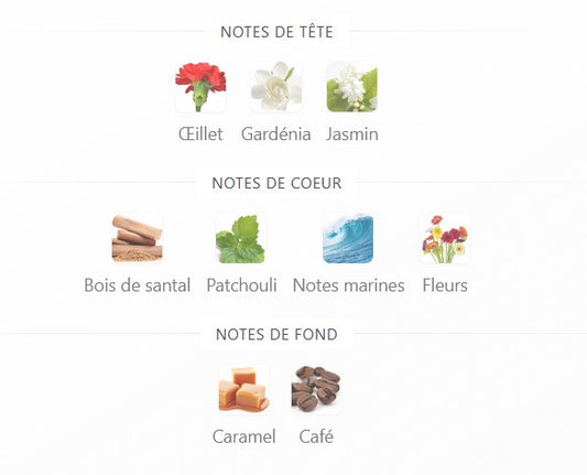 Maison Alhambra Luxe Nightlife - Échantillon de Parfum 5ml/2ml - Format de Voyage - Parfum du Moyen-Orient