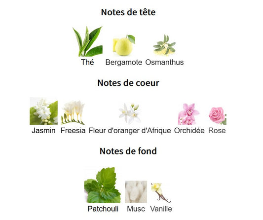 Maison Alhambra Victoria Flower - Échantillon de Parfum 5ml/2ml - Format de Voyage - Parfum du Moyen-Orient