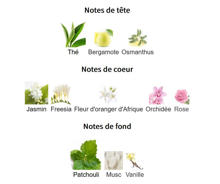 Échantillon reconditionné Little Big Perfume - Maison Alhambra Victoria Flower