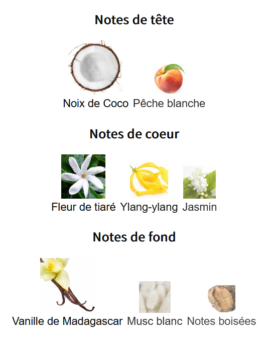 Mancera Coco Vanille - Perfume Sample 5ml/2ml - Travel Size - Middle Eastern Fragrance