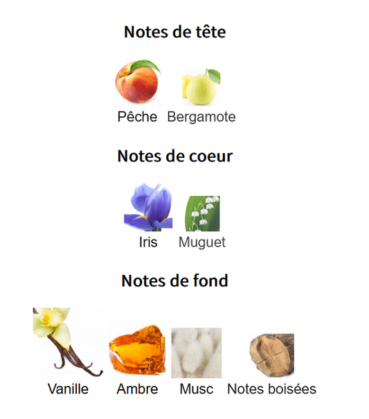 Zara Nuit - Échantillon de Parfum 5ml/2ml - Format de Voyage Abordable