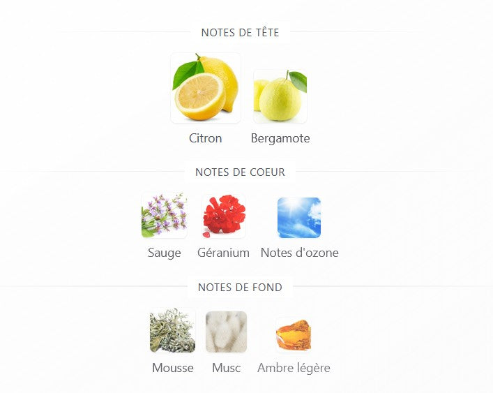 Échantillon reconditionné Little Big Perfume - Nusuk Sama