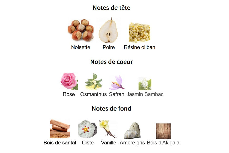 Paris Corner Bayn Al Asrar - Échantillon de Parfum 5ml/2ml - Format de Voyage - Parfum du Moyen-Orient