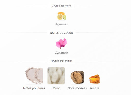 Paris Corner Eternal Musk - Échantillon de Parfum 5ml/2ml - Format de Voyage - Parfum du Moyen-Orient