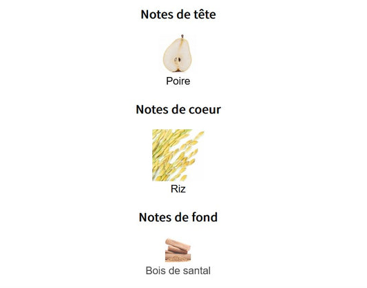 Zara A Mochi Atelier In Tokyo- Échantillon de Parfum 5ml/2ml - Format de Voyage Abordable
