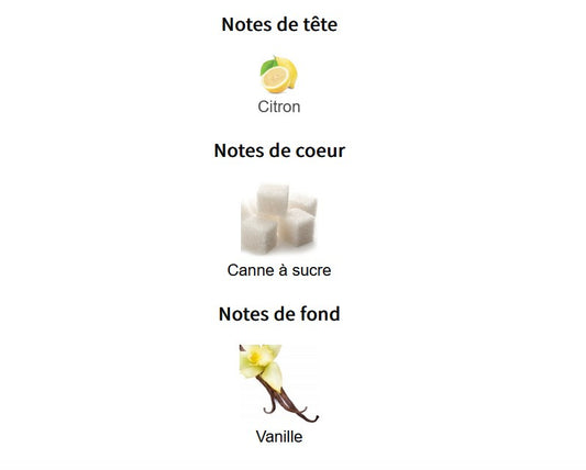Zara A Sweet Pastry In Paris - Échantillon de Parfum 5ml/2ml - Format de Voyage Abordable