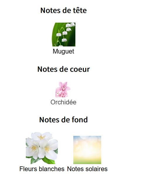 Zara Blue Bird Orchid - Échantillon de Parfum 5ml/2ml - Format de Voyage Abordable