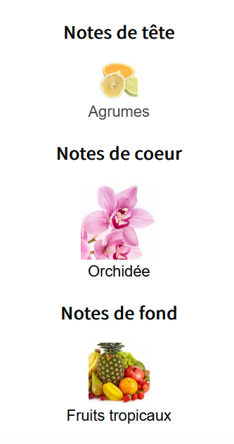 Zara Evening Maiden Orchid - Échantillon de Parfum 5ml/2ml - Format de Voyage Abordable