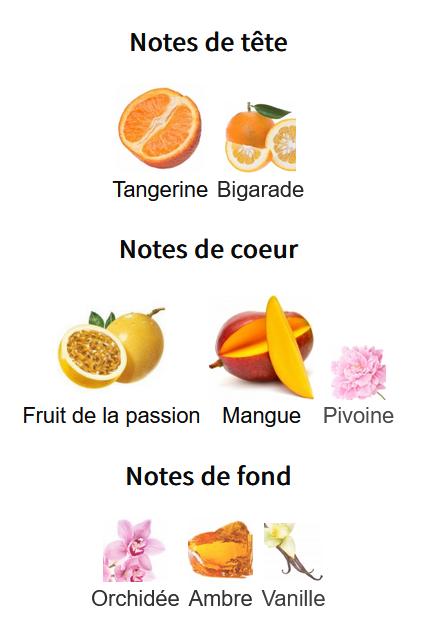 Zara Hibiscus - Échantillon de Parfum 5ml/2ml - Format de Voyage Abordable