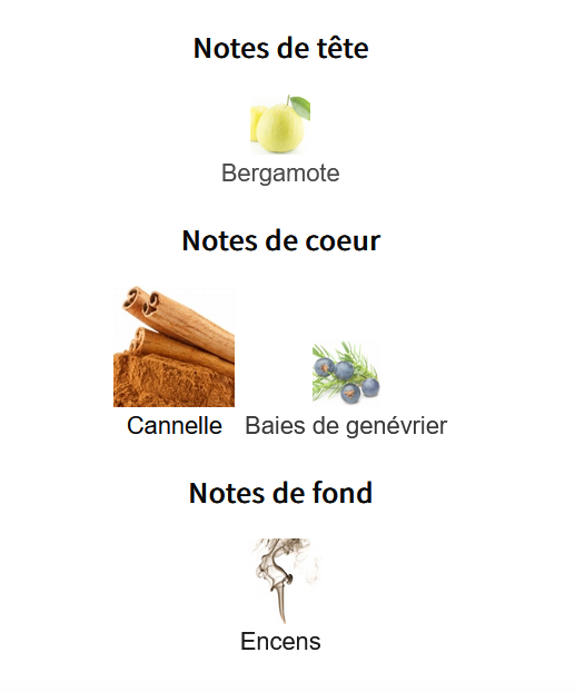 Zara Nocturnal Life - Échantillon de Parfum 5ml/2ml - Format de Voyage Abordable