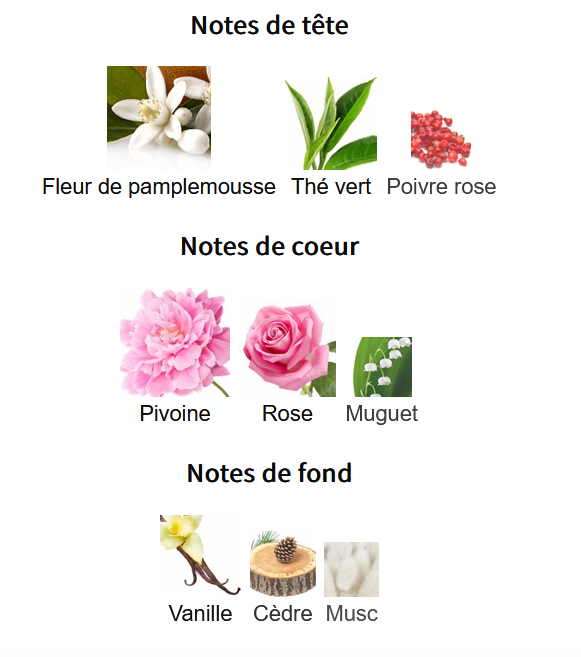 Zara Wonder Rose Sublime - Perfume Sample 5ml/2ml - Affordable Travel Size