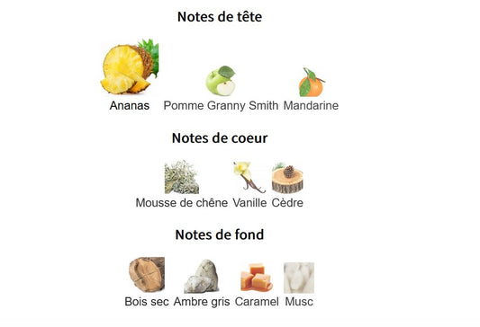 Afnan 9pm Rebel - Échantillon de Parfum 5ml/2ml - Format de Voyage - Parfum du Moyen-Orient