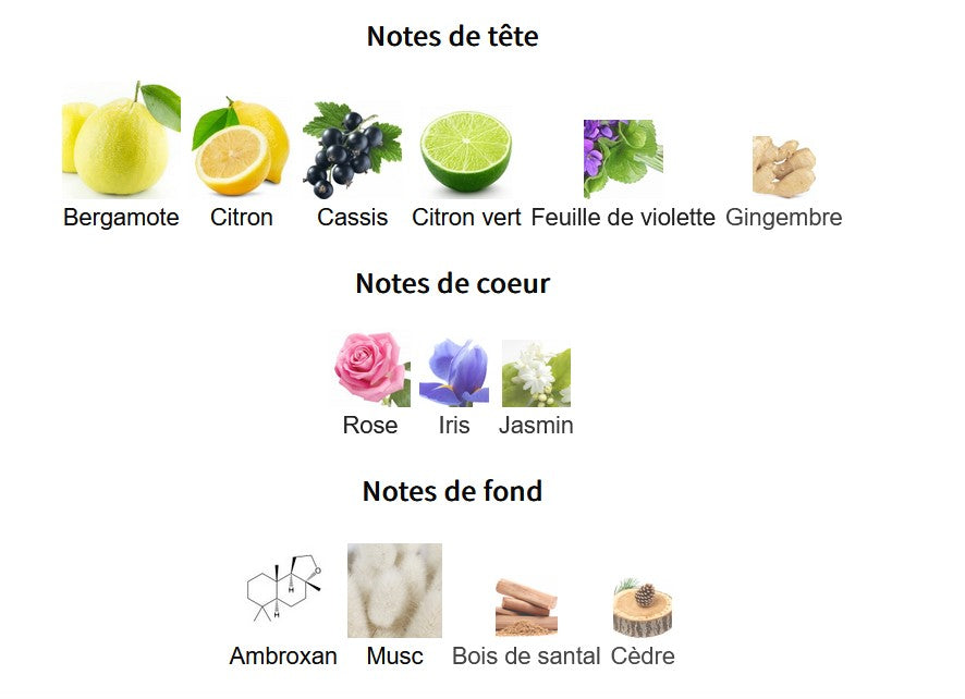 Armaf Club de Nuit Sillage - Perfume Sample 5ml/2ml - Travel Size - Middle Eastern Fragrance