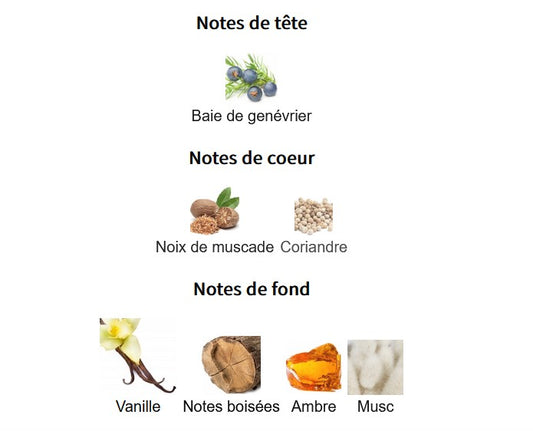 Atralia Amazonas Sierra - Échantillon de Parfum 5ml/2ml - Format de Voyage - Parfum du Moyen-Orient