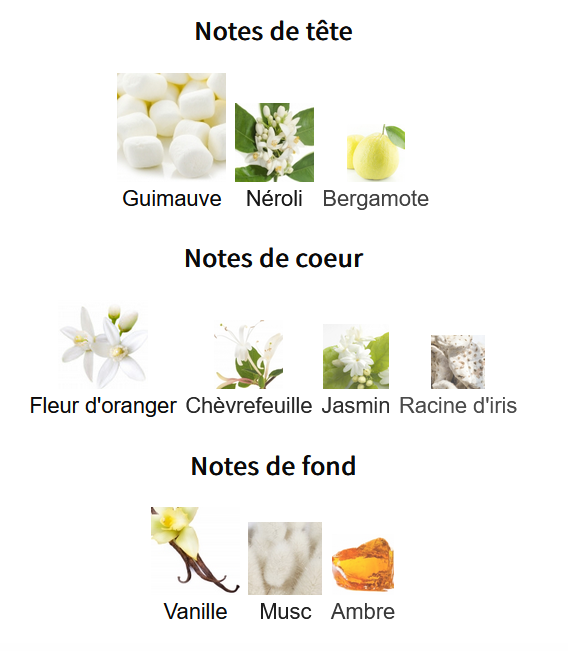 Dossier Floral Marshmallow - Échantillon de Parfum 5ml/2ml - Format de Voyage - Parfum Dupe