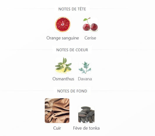 Fragrance World Notes Classic - Échantillon de Parfum 5ml/2ml - Format de Voyage - Parfum du Moyen-Orient