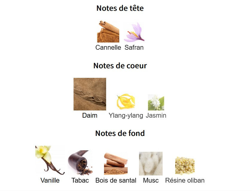 Fragrance World Notes Jazz - Échantillon de Parfum 5ml/2ml - Format de Voyage - Parfum du Moyen-Orient