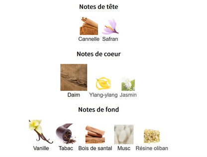 Fragrance World Notes Jazz - Échantillon de Parfum 5ml/2ml - Format de Voyage - Parfum du Moyen-Orient