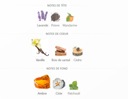 Fragrance World Soir - Échantillon de Parfum 5ml/2ml - Format de Voyage - Parfum du Moyen-Orient
