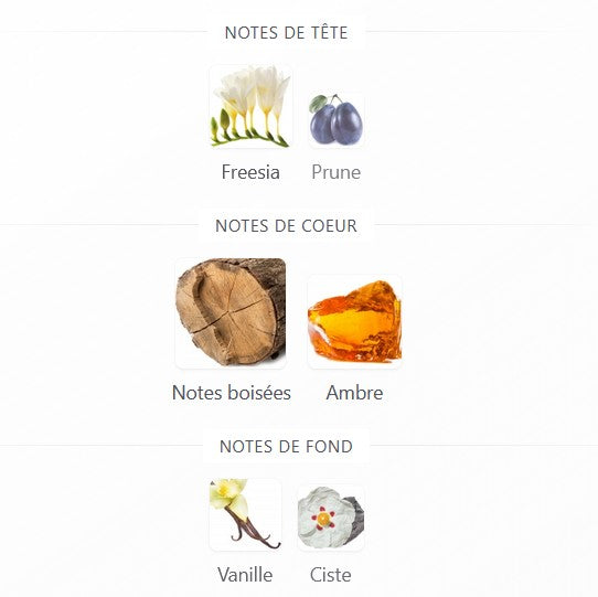 French Avenue Axis - Perfume Sample 5ml/2ml - Travel Size - Middle Eastern Fragrance