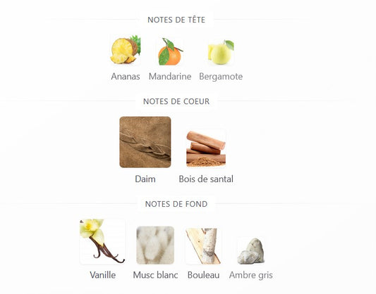 French Avenue Meringue - Échantillon de Parfum 5ml/2ml - Format de Voyage - Parfum du Moyen-Orient