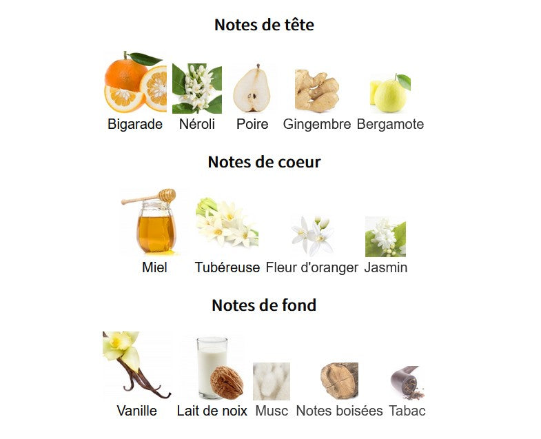 French Avenue NECTARE Extradose - Échantillon de Parfum 5ml/2ml - Format de Voyage - Parfum du Moyen-Orient