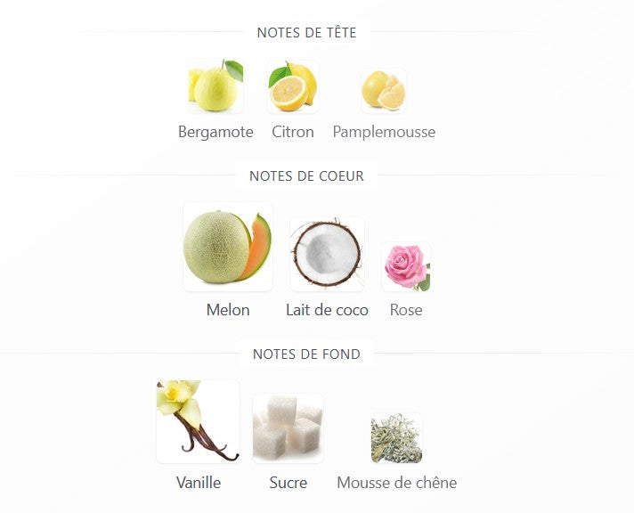 Khadlaj Biscotti Melon Misk - Échantillon de Parfum 5ml/2ml - Format de Voyage - Parfum du Moyen-Orient