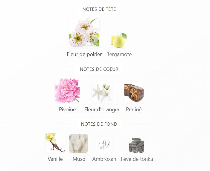 Lattafa Angham Second Song - Perfume Sample 5ml/2ml - Travel Size - Middle Eastern Fragrance