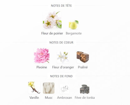 Lattafa Angham Second Song - Perfume Sample 5ml/2ml - Travel Size - Middle Eastern Fragrance
