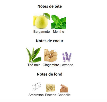 Lattafa Art Of Arabia I - Perfume Sample 5ml/2ml - Travel Size - Middle Eastern Fragrance