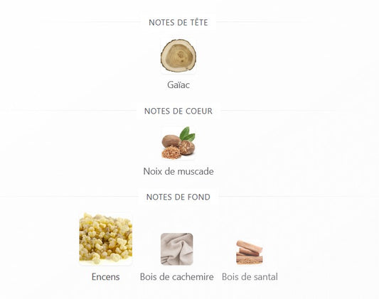 Lattafa Nasheet - Échantillon de Parfum 5ml/2ml - Format de Voyage - Parfum du Moyen-Orient