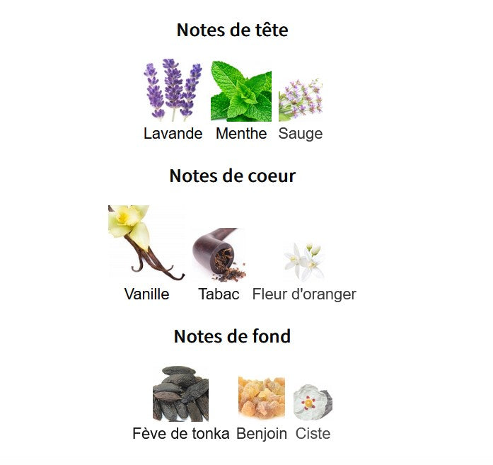 Lattafa The Kingdom - Perfume Sample 5ml/2ml - Travel Size - Middle Eastern Fragrance